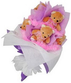 E�ime Hediye 5 adet ay�c�ktan yap�lm�� pelu� oyuncak ay� demeti 