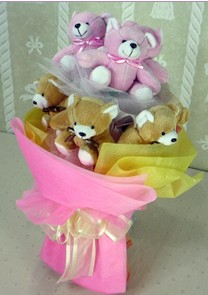 Sevgilime hediye 10 adet ay�c�ktan teddy bear buket 