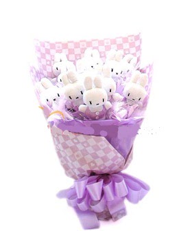 �lgin� Hediyeler 13 adet pelu� ay�c�ktan g�rsel ay� buketi 