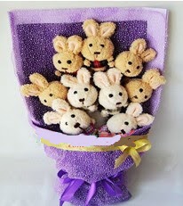 Y�ld�n�m� Hediyeleri 9 adet oyuncak hediye pelu� tav�anc�k g�rsel demet 