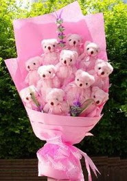 K�z arkada��ma hediye 10 adet ay�dan olu�mu� g�rsel ay� buketi 